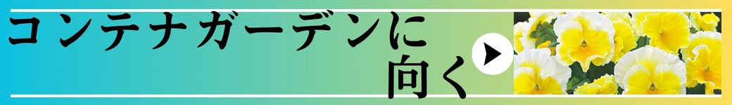 コンテナガーデンに向く