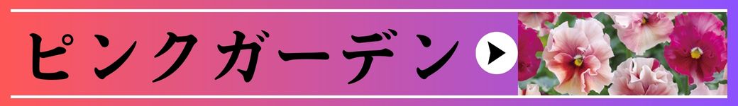 ピンクガーデン
