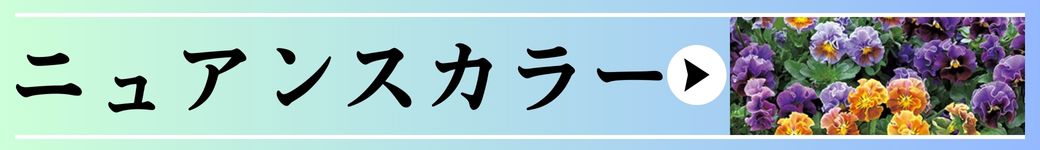 ニュアンスカラー
