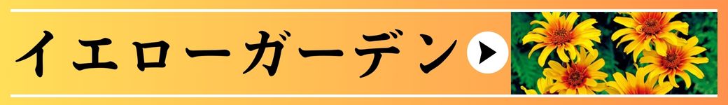イエローガーデン
