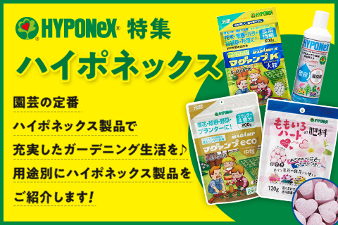 ハイポネックス特集