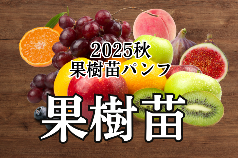 果樹苗パンフ