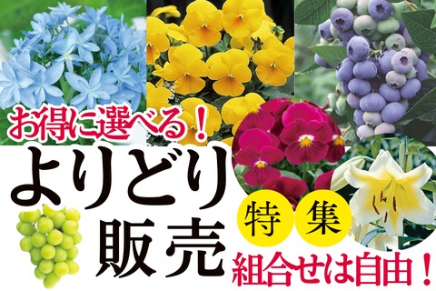 よりどり販売