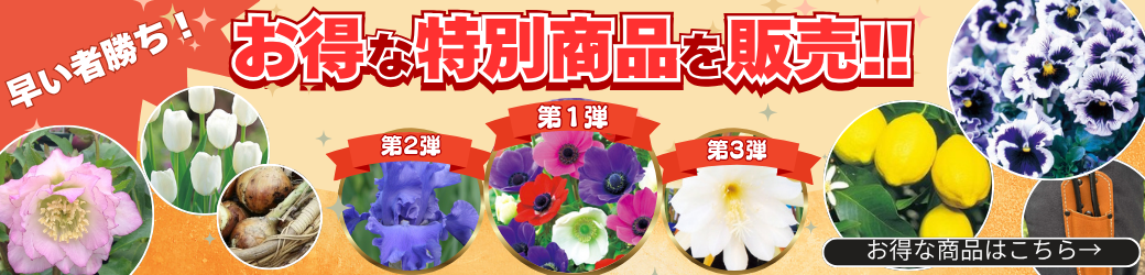 お得商品