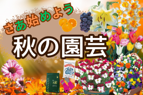 花と緑