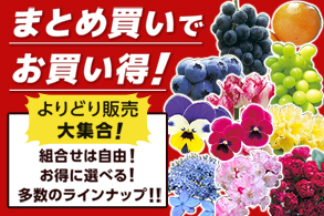 よりどり販売