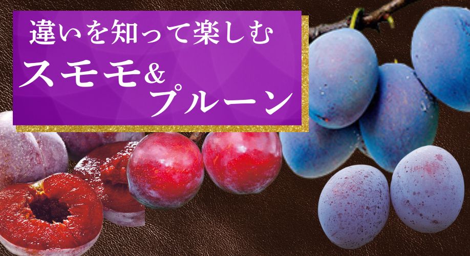 スモモ＆プルーン