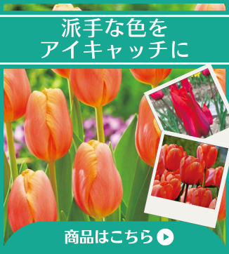 派手な色をアイキャッチに