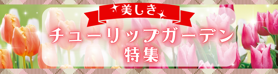 チューリップガーデン特集