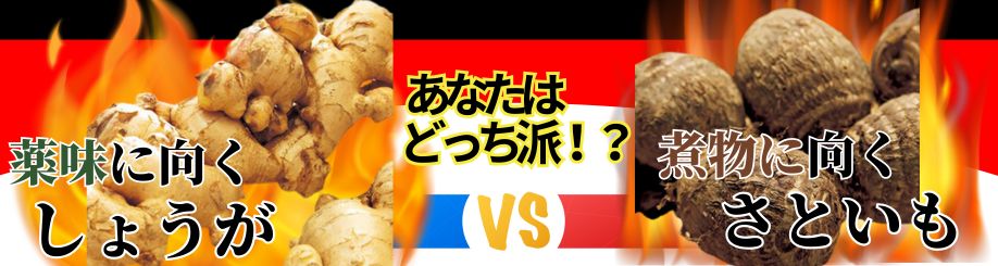 しょうがorさといも!!
