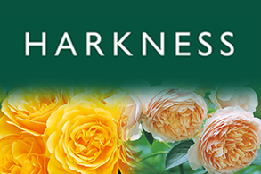 ハークネス