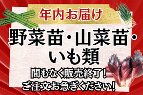 山菜苗・イモ類