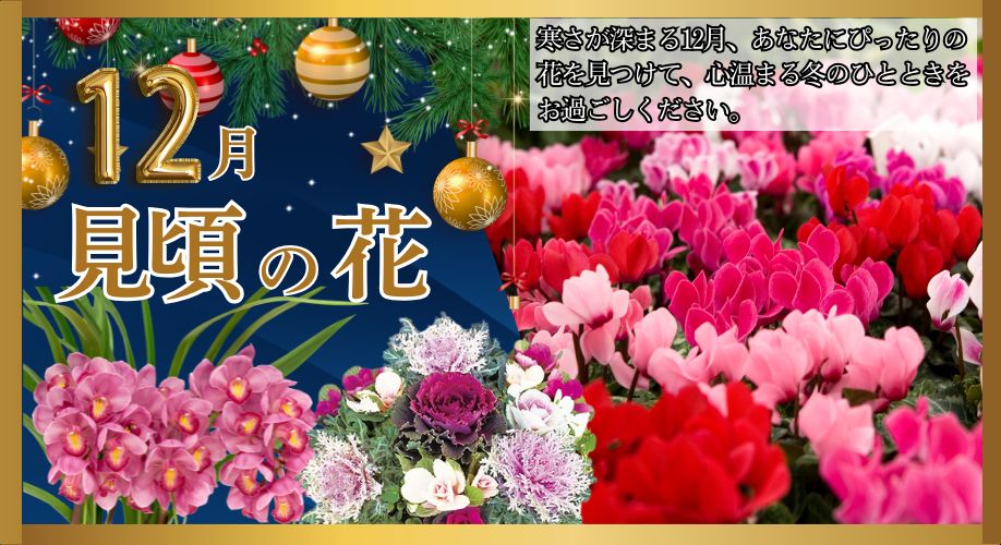 今、旬の花特集