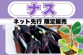 【ナス】