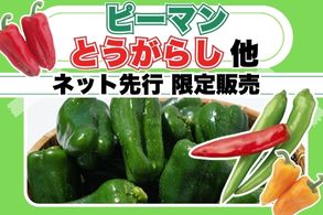 【ピーマン・トウガラシ他】