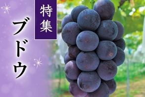 ブドウ