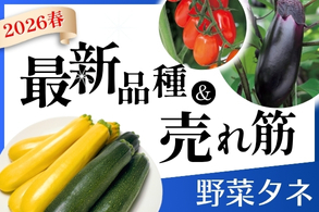 野菜タネ