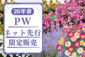 【PW】