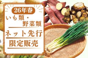 【いも類・山菜苗】