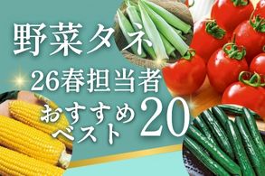 野菜タネ