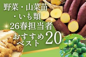 イモ類・山菜苗