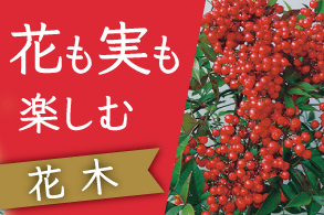 花も実も楽しむ