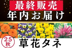 最終販売年内お届け