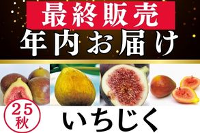 年内お届最終販売【いちじく】