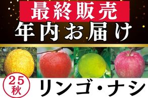 年内お届最終販売【リンゴ･ナシ】