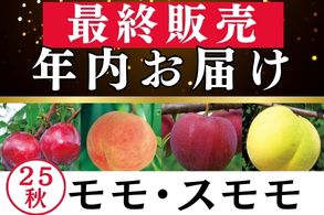 年内お届最終販売【モモ･スモモ】