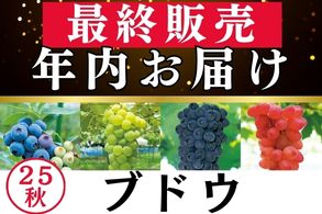 年内お届最終販売【ブドウ】
