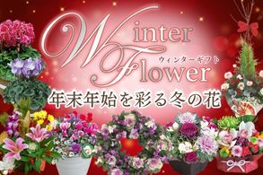 ウインターギフト