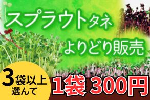 スプラウトアソート