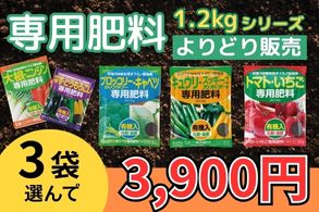専用肥料1.2kgよりどり