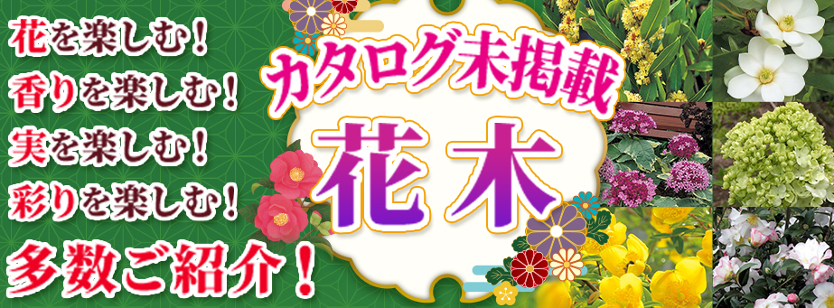 26花木ガイド未掲載