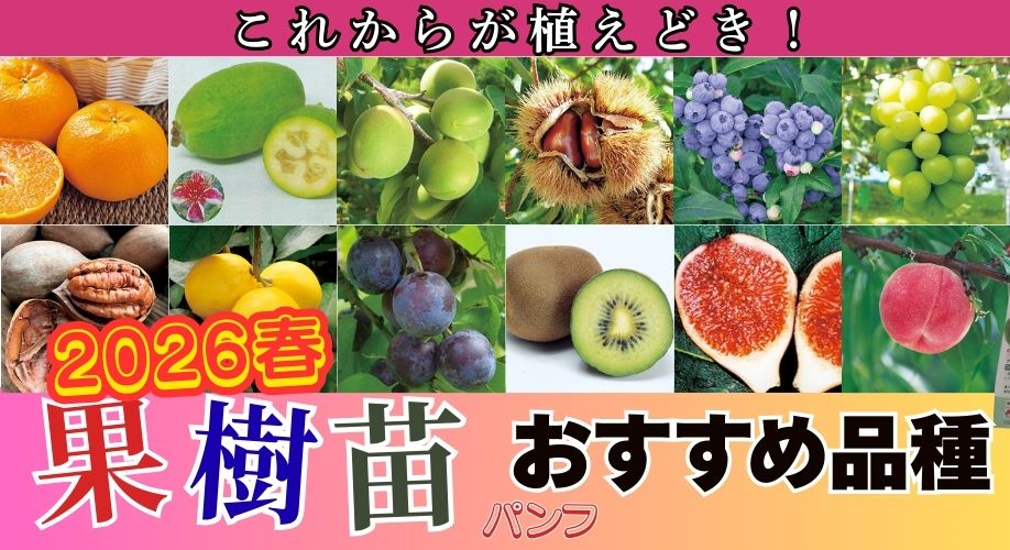 果樹パンフ特集