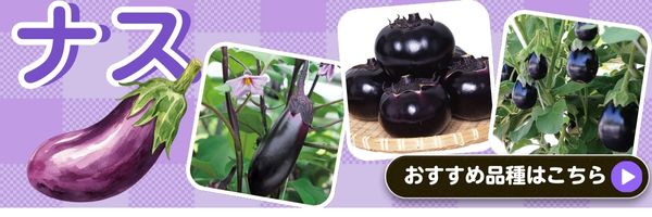 ナス