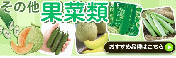その他果菜類