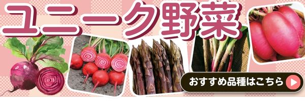 ユニーク野菜