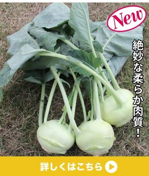 コラビグリーン