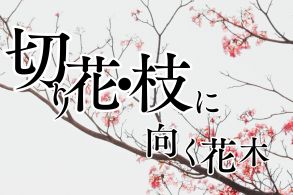切り花･切り枝に向く