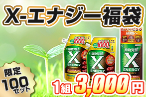 【福袋】X-ｴﾅｼﾞｰ