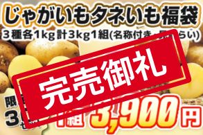 【福袋】じゃがいもタネイモ