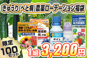【福袋】きゅうり(べと病)農薬