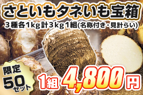 【福袋】さといもタネいも