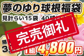 【福袋】ゆり球根