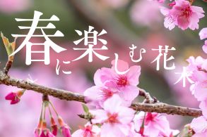 春に楽しむ花木