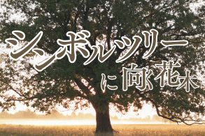 シンボルツリーに向く