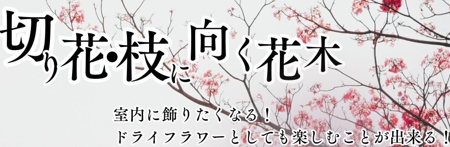 切り花・切り枝に向く