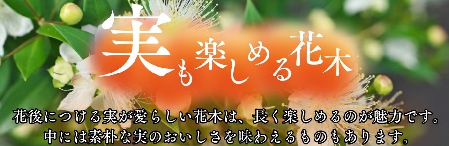花も実も楽しむ花木